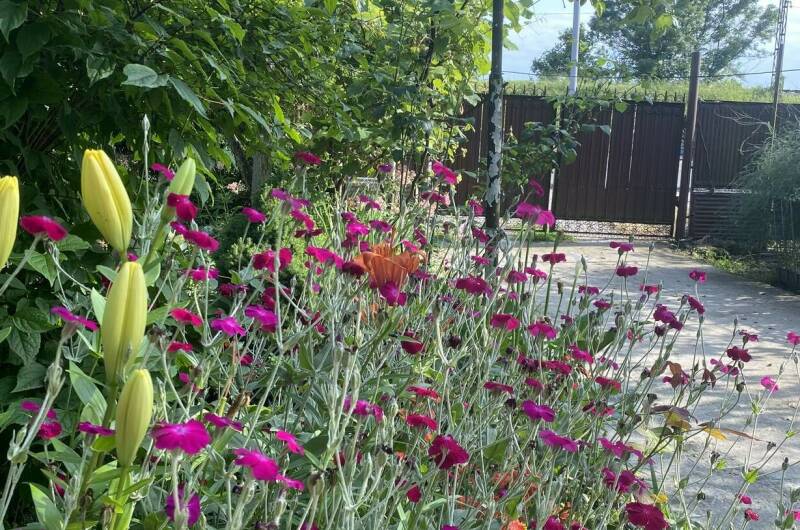 Частный дом «Traum»