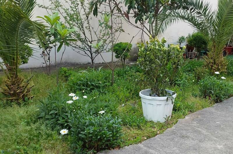 Апартаменты «Горец»