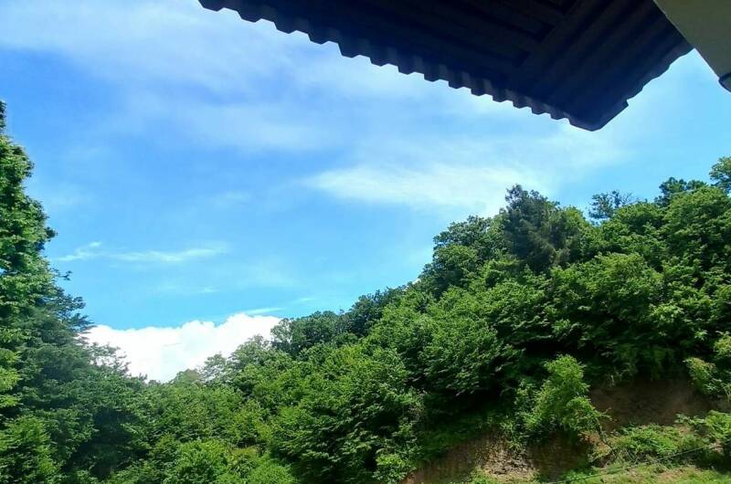 Гостевой дом «Золотая бухта 12»