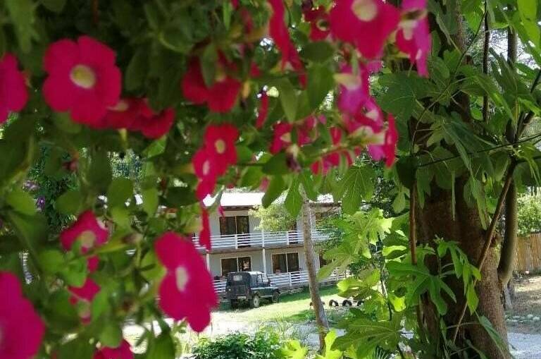 Гостевой дом «Самшит»