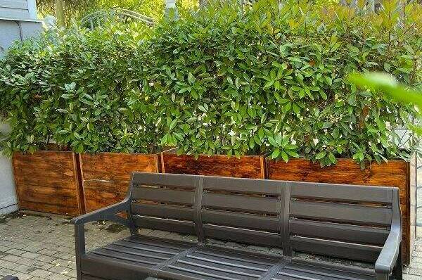 Отель «ASSIR»