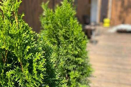 Гостевой комплекс «Атмосфера»