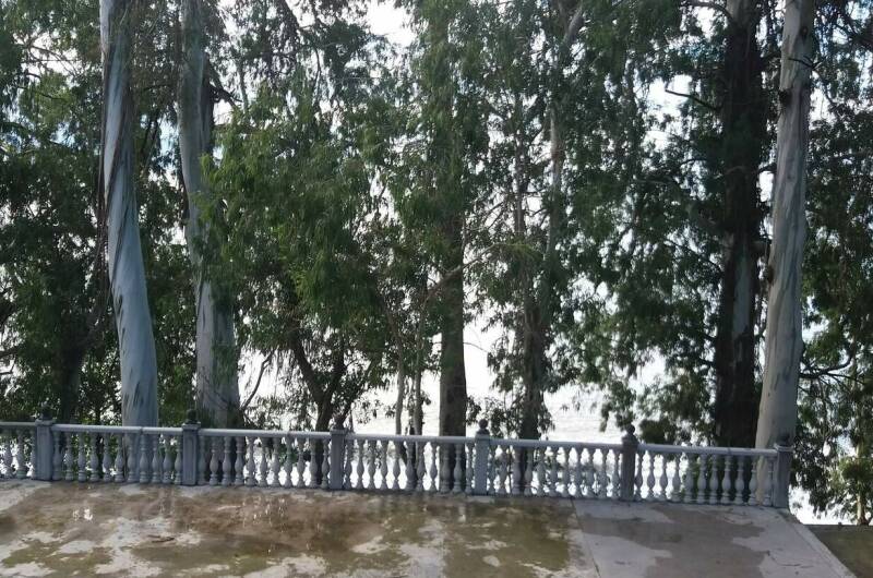 Гостевой дом «Берег эвкалиптов»