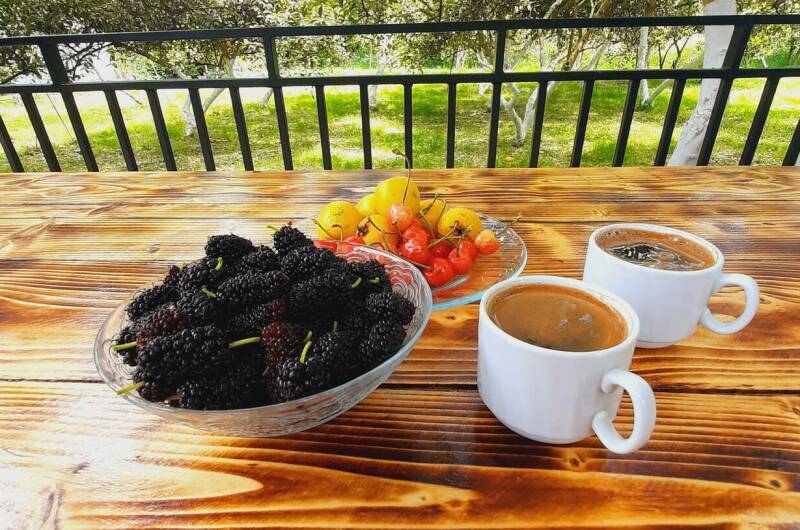 Частный сектор «Уютное гнёздышко»