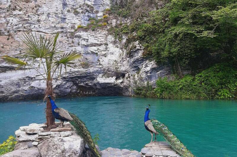 Частный сектор «Уютное гнёздышко»