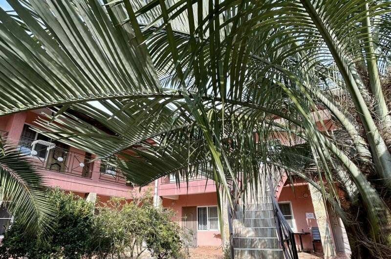 Гостевой дом «Розовый фламинго»