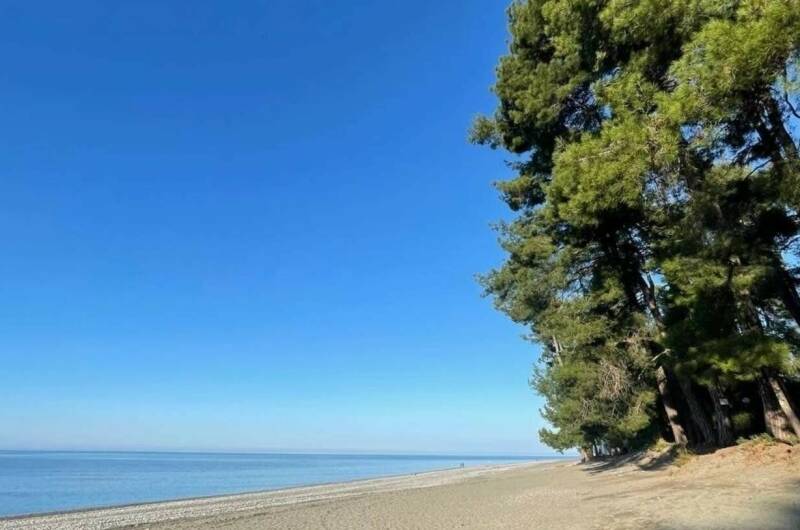 Двухкомнатная квартира в центре Пицунды