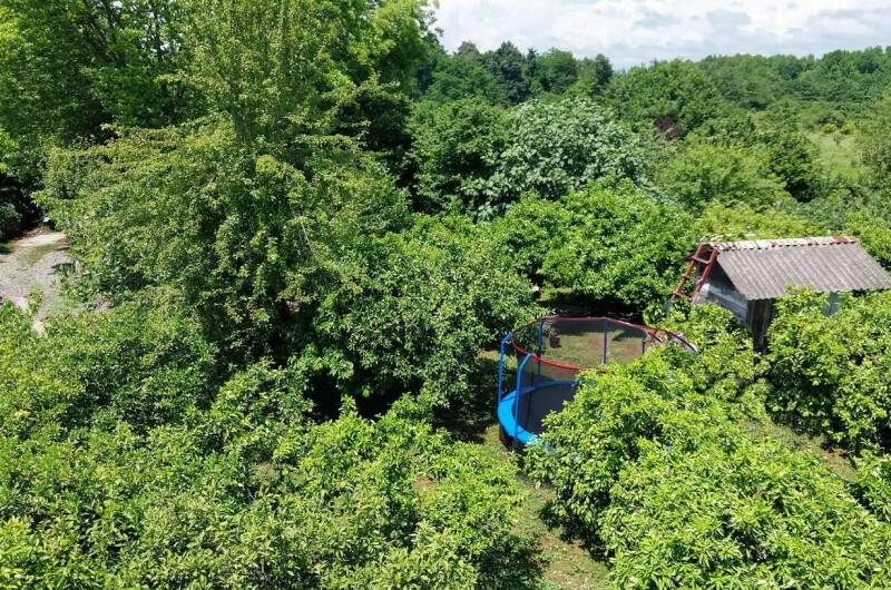 Отель «Мандариновый берег»