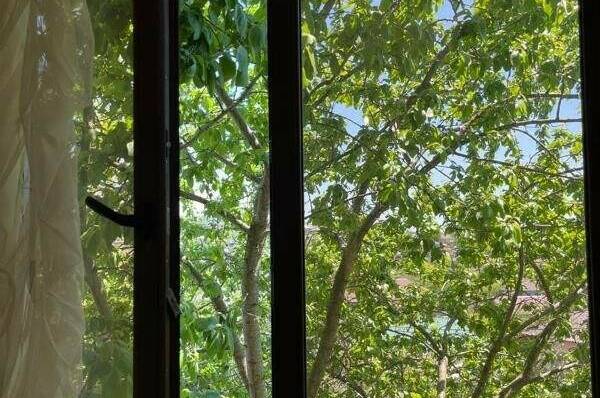 Гостевой дом «Камила»