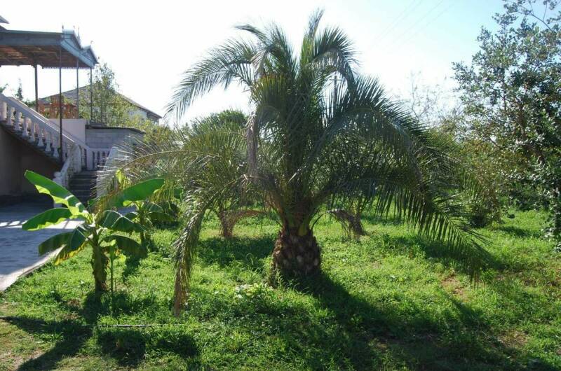 Гостевой дом «У Рафа»