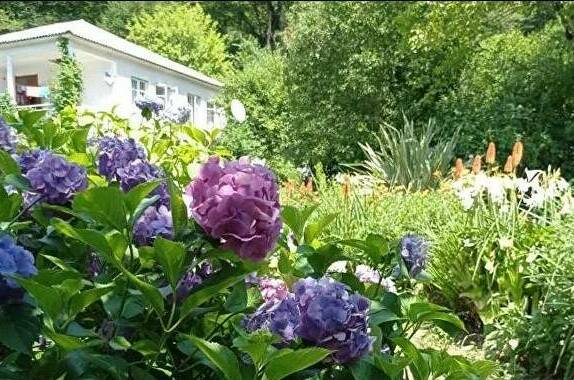 Гостевой дом «Место под солнцем»