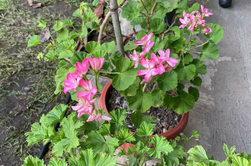 Дом под ключ «Марианна»