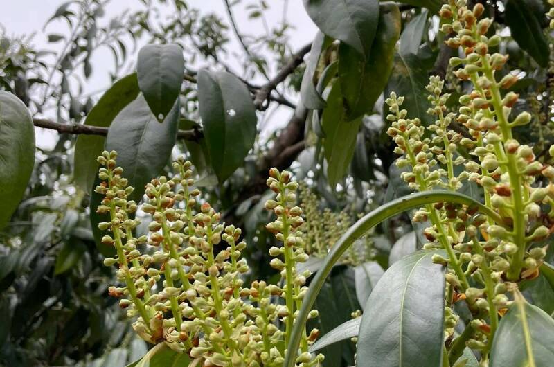 Дом под ключ «Марианна»