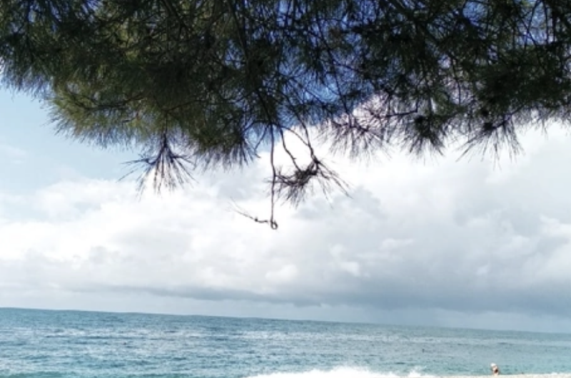 Гостевой дом «Leon»