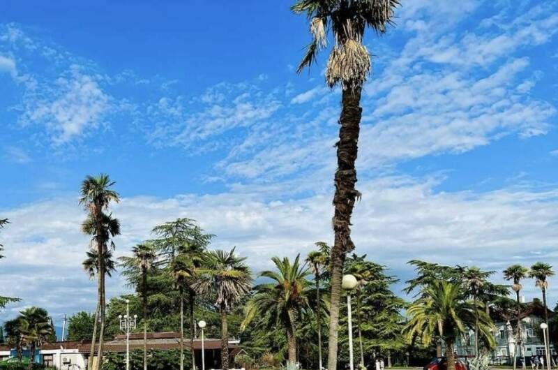 Гостевой дом «Цитрус»