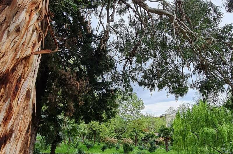 Гостевые эко-домики «Бунгало у моря» под ключ