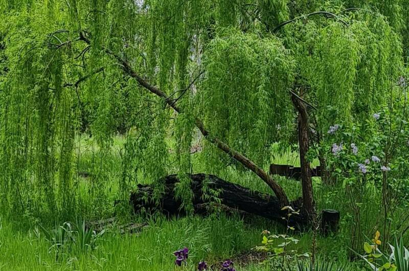 Гостевые эко-домики «Бунгало у моря» под ключ