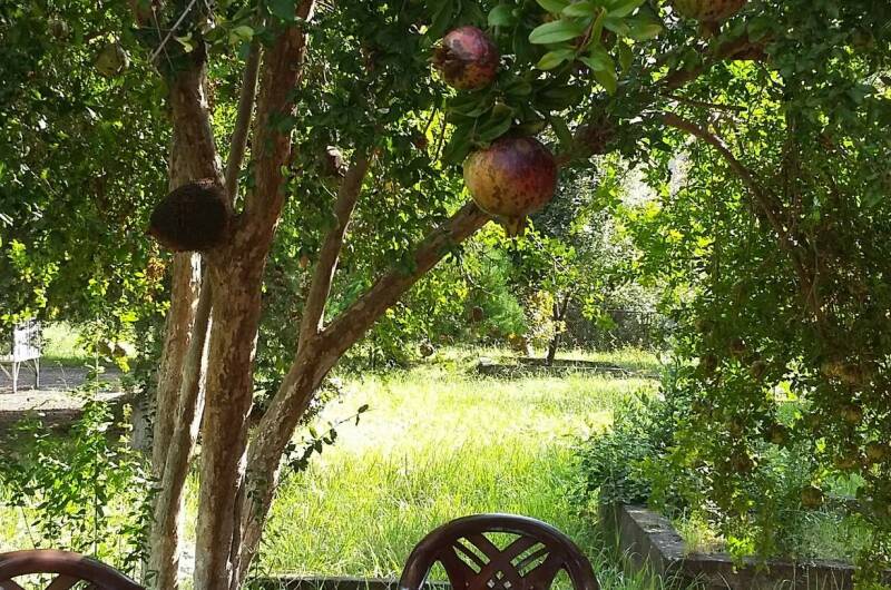 Гостевые эко-домики «Бунгало у моря» под ключ