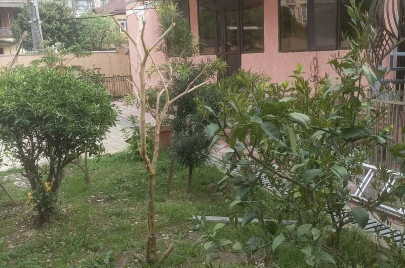 Гостевой дом «Семейный дворик»