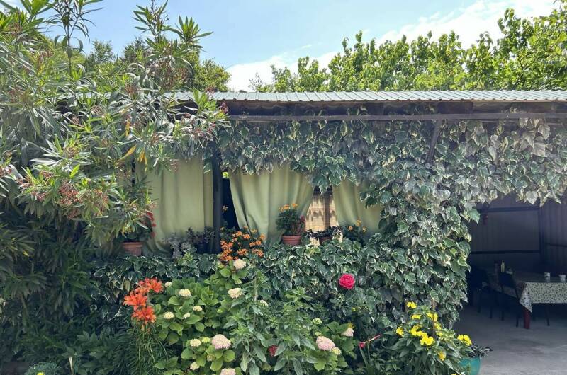 Гостевой дом «Ася и Миша»