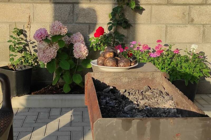 Гостевой дом «Пекан»