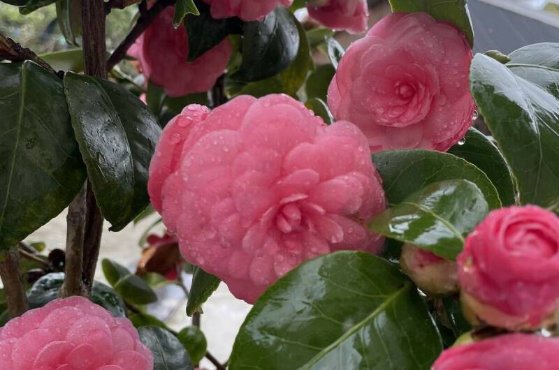 Этаж под ключ «Отдых у Риты»