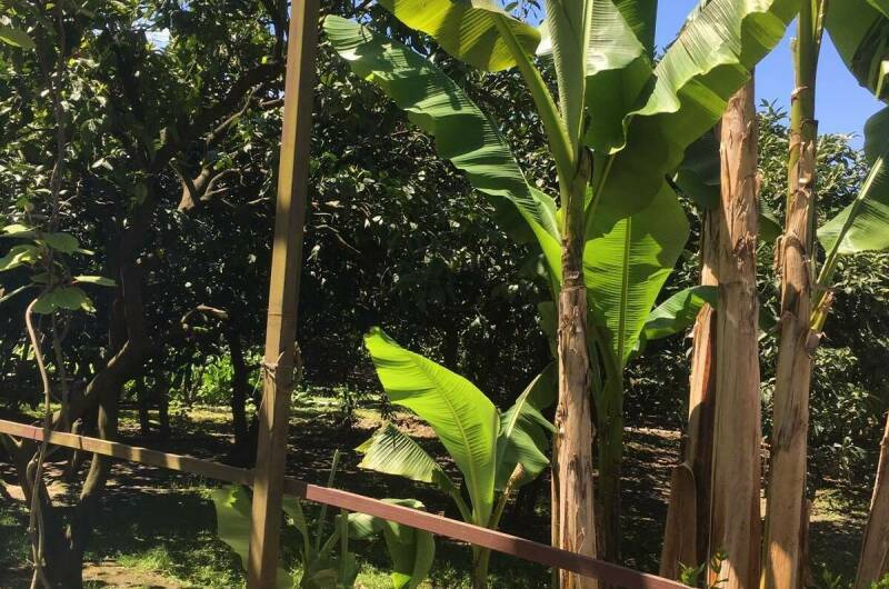 Этаж под ключ «Отдых у Риты»