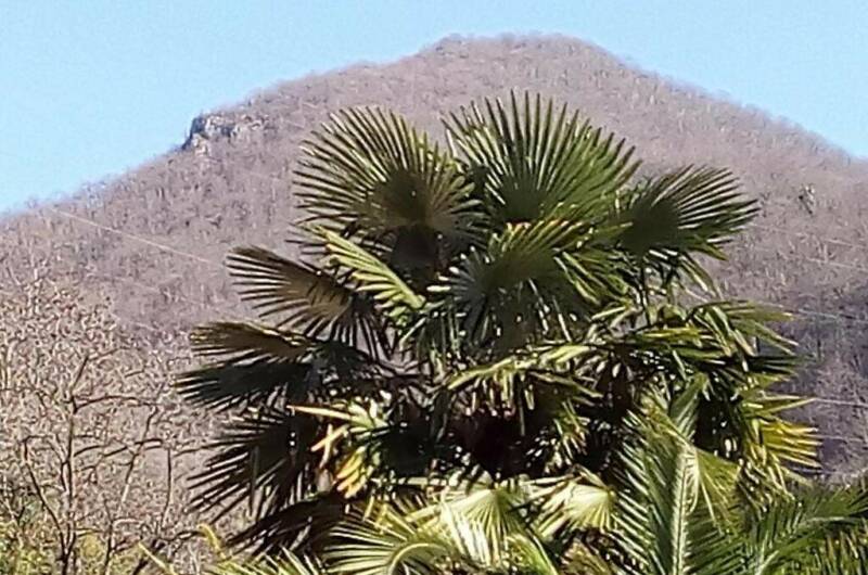 Отель «Inn Rif»