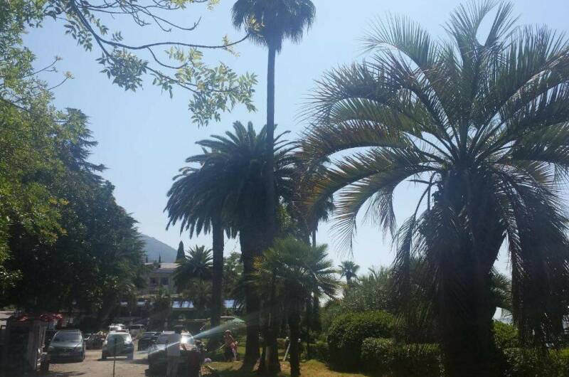 Отель «Inn Rif»