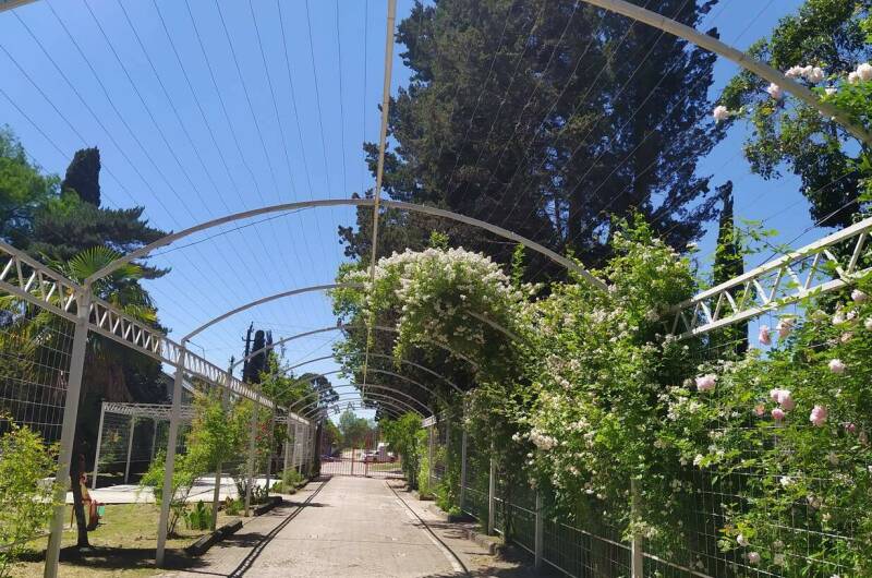 Villa «Дольче Вита»