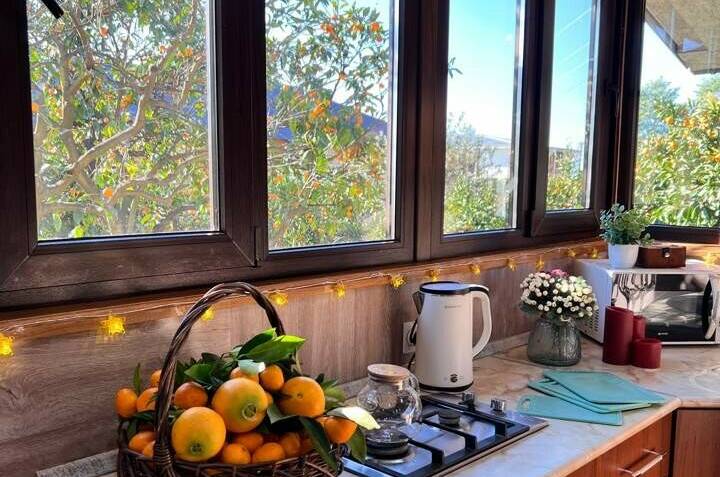 Дом под ключ «Мандариновый дворик»