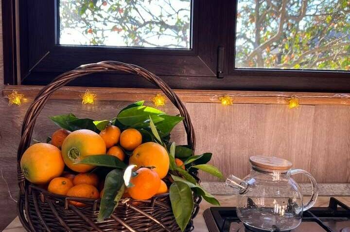 Дом под ключ «Мандариновый дворик»