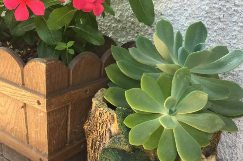 Гостевой дом «Маргарита»