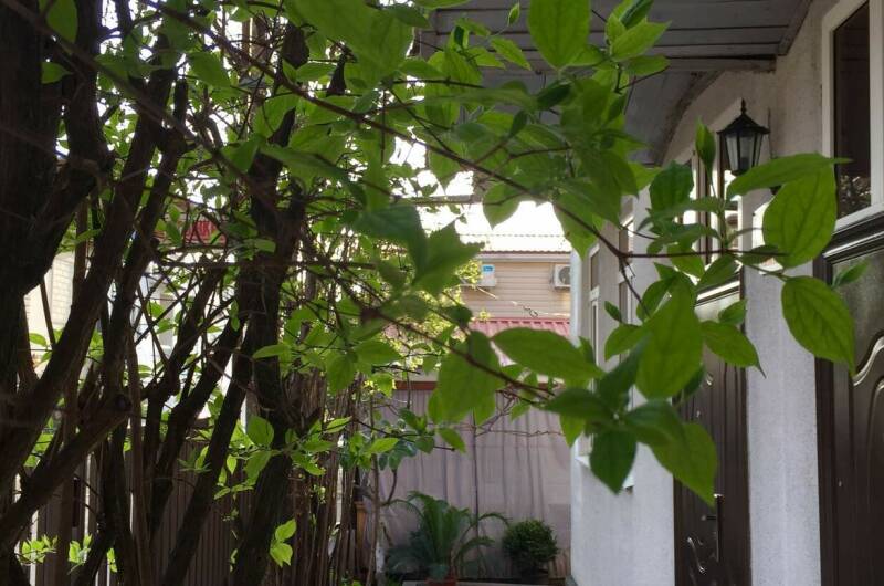 Гостевой дом «Маргарита»