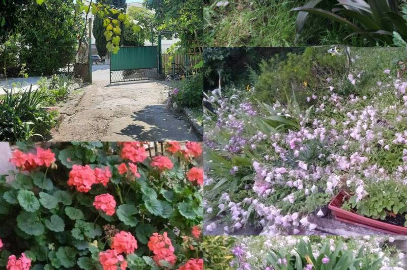 Частный сектор «У моря»