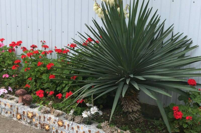 Гостевой дом «Анита»