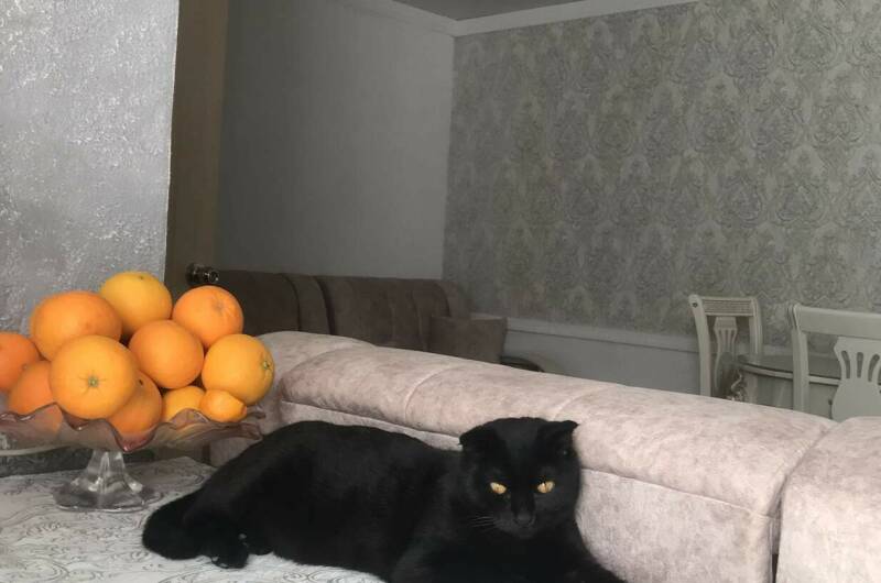 Гостевой дом «Анита»