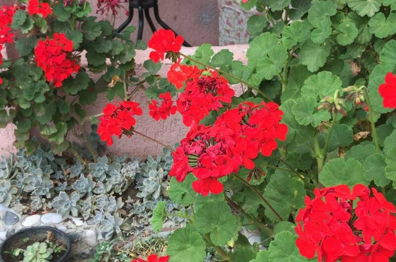 Гостевой дом «Анита»