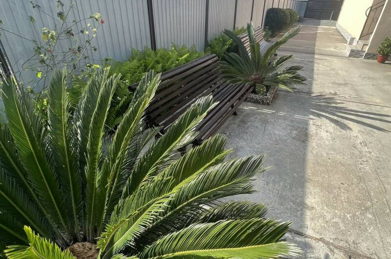 Гостевой дом «Арарат и Светлана»