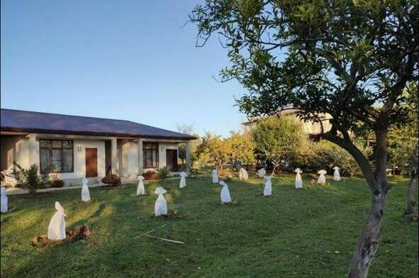 Гостевой дом «У Марины»