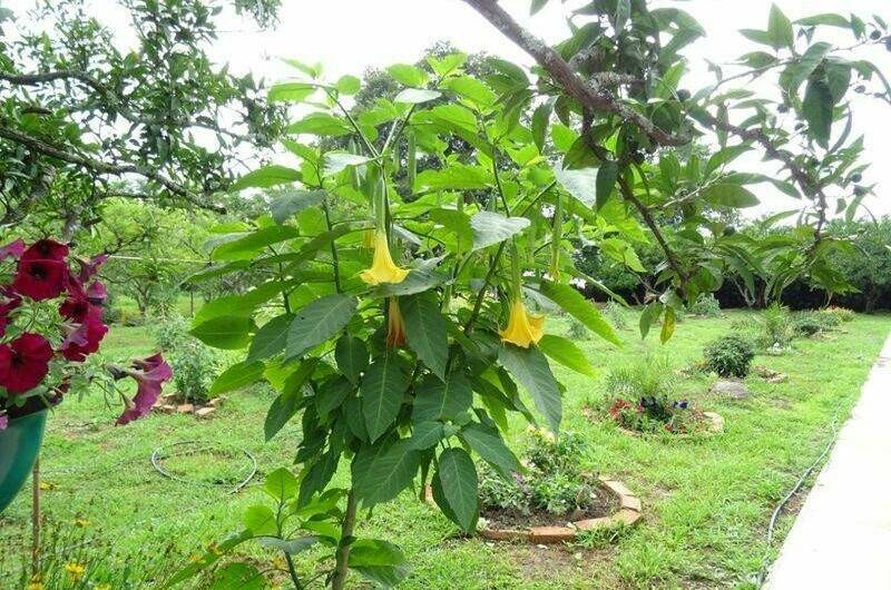 Гостевой дом «У Марины»