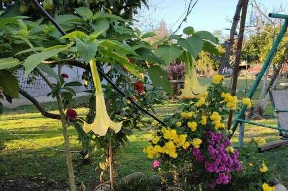 Гостевой дом «У Марины»