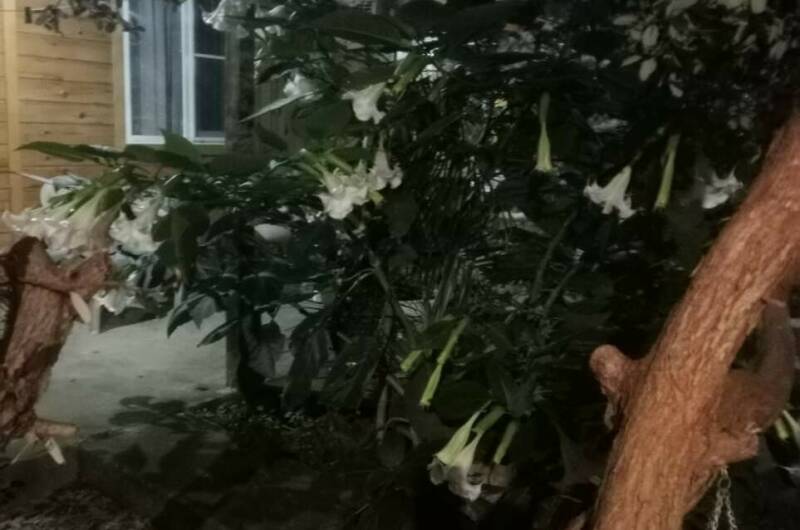 Гостевой дом «У Аиды»