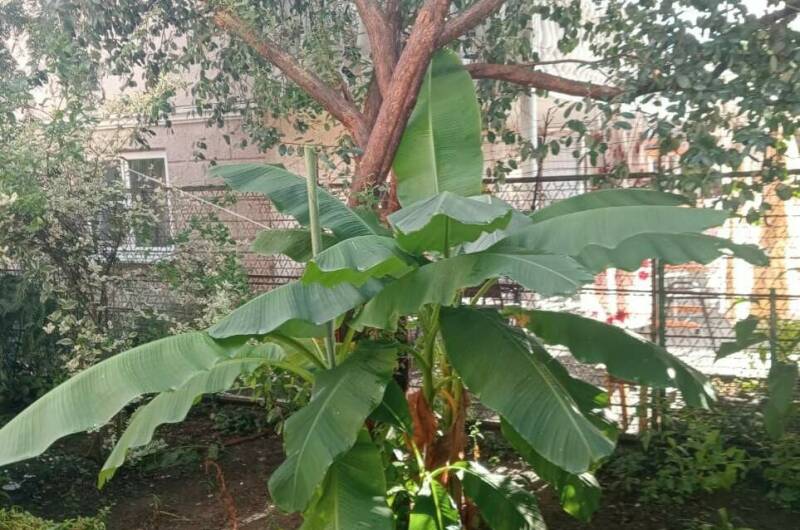 Гостевой дом «У Аиды»