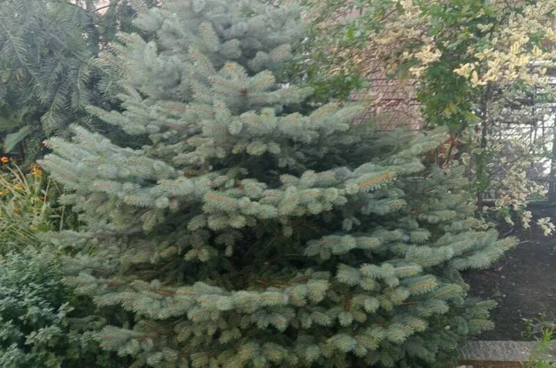 Гостевой дом «У Аиды»