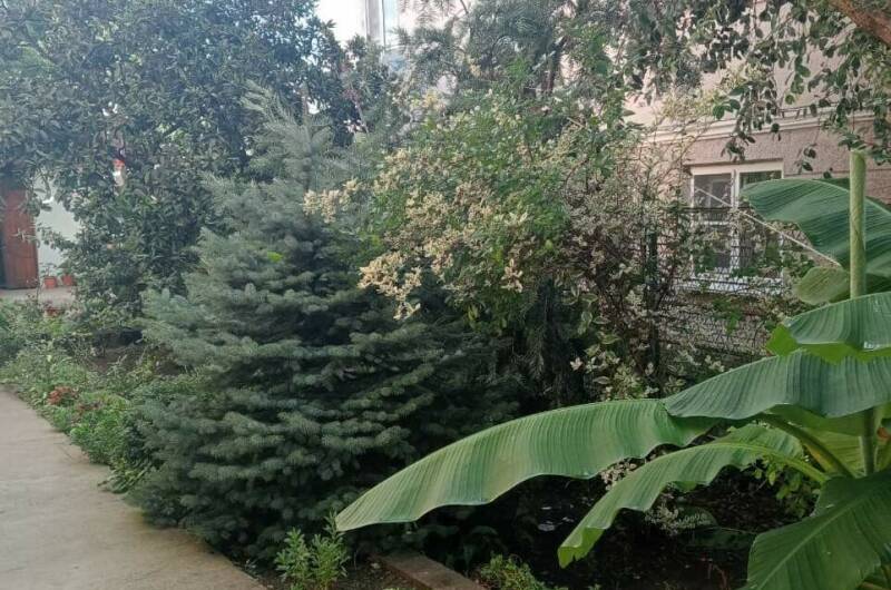 Гостевой дом «У Аиды»