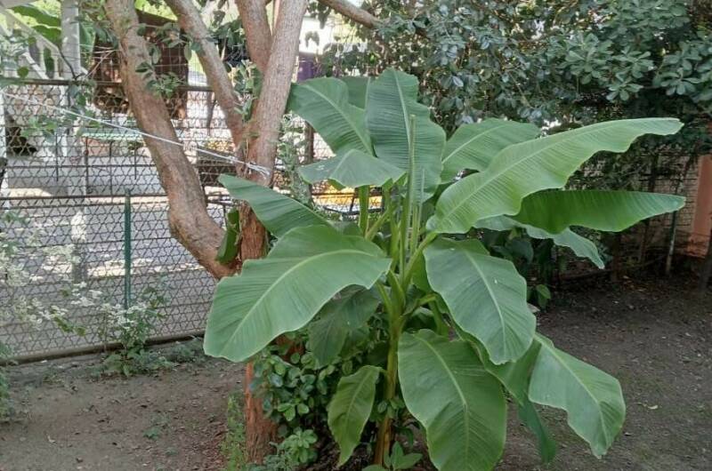 Гостевой дом «У Аиды»