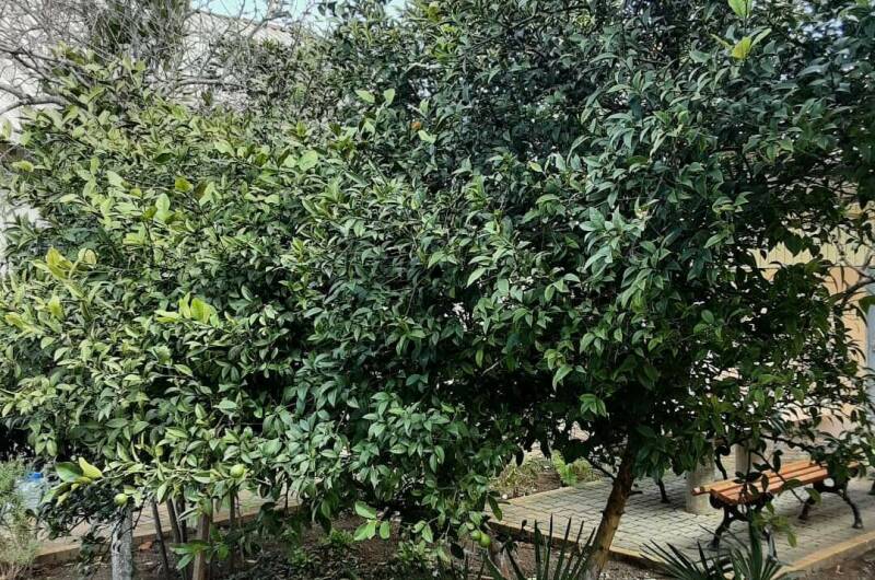 Дом под ключ на Приморской