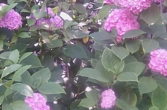 Частный сектор «У Кристины»