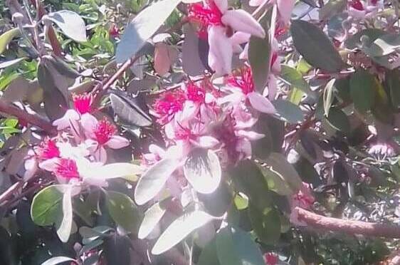 Частный сектор «У Кристины»